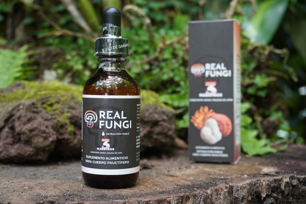 Suplemento de hongos - 3 Maestro (Cordyceps, Melena de león y Reishi)