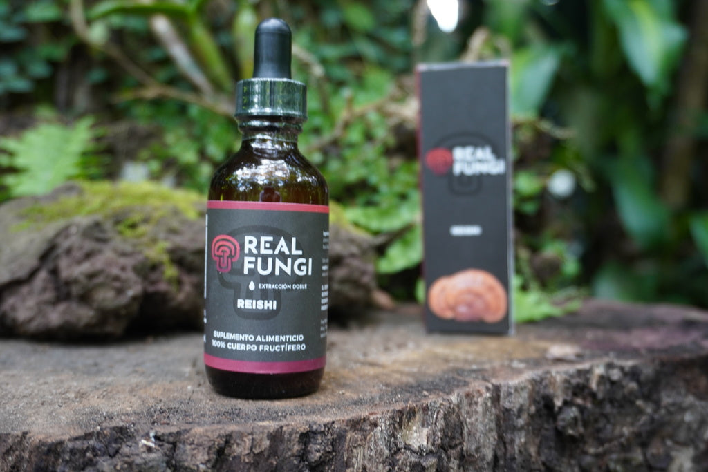 Suplemento de hongo - Reishi (Ganoderma lucidum)