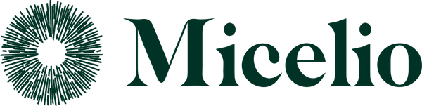 Micelio Guatemala
