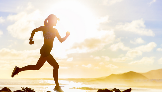 Los Compuestos Bioactivos de los Hongos Medicinales