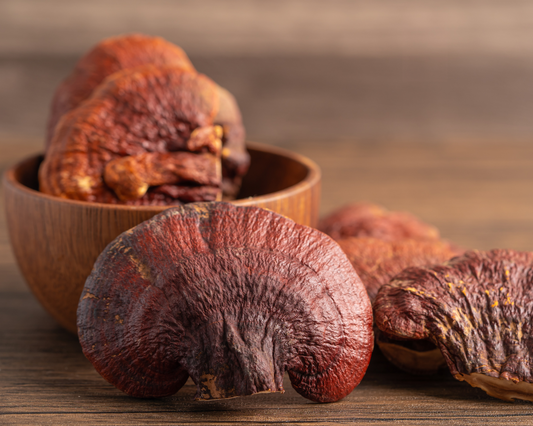 Reishi: Un Hongo para tu Salud y Vitalidad