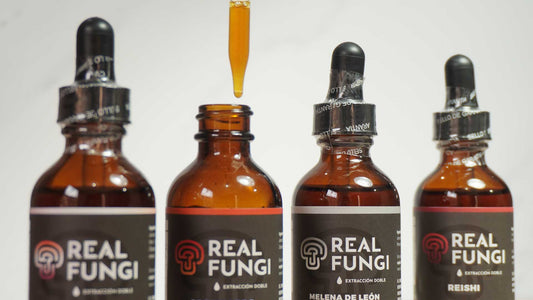 Proceso de Extracción Doble en Suplementos de Hongos Medicinales