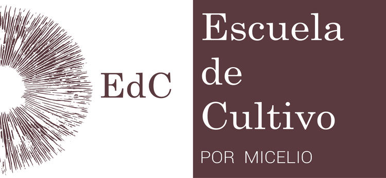 Cursos